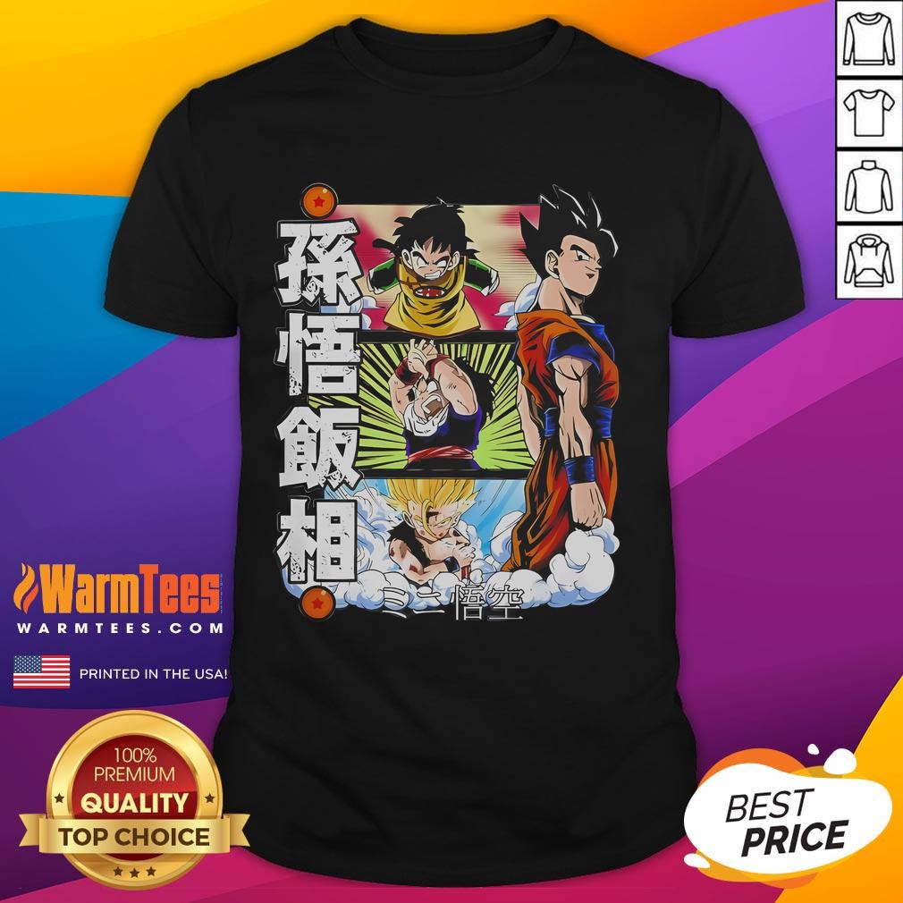 Awesome The Ages Of Gohan Dragon Ball Z Cartoon T-Shirt