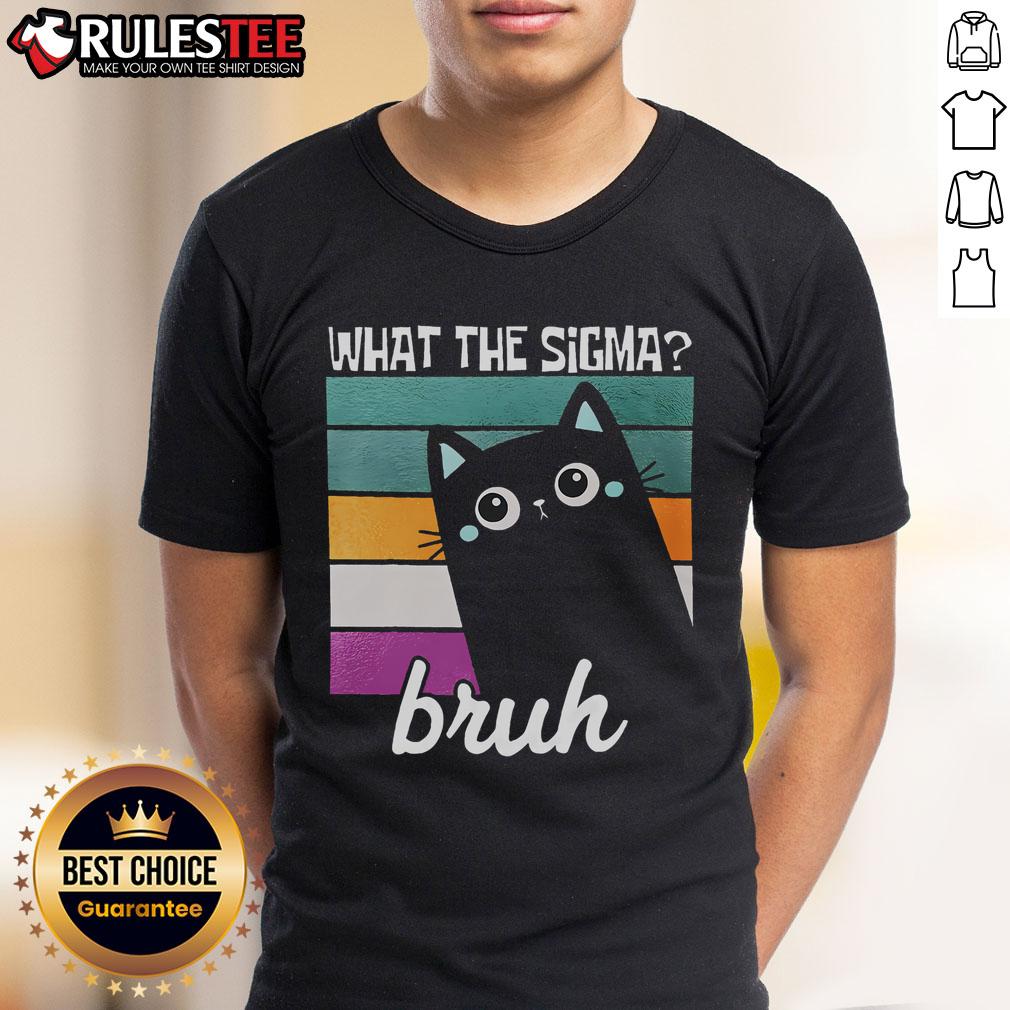 Cute Cat What The Sigma Bruh Funny Meme T-Shirt