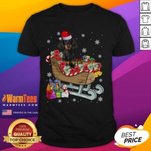 Cute Dachshund Dog Christmas Santa Hat Xmas Puppy T-Shirt