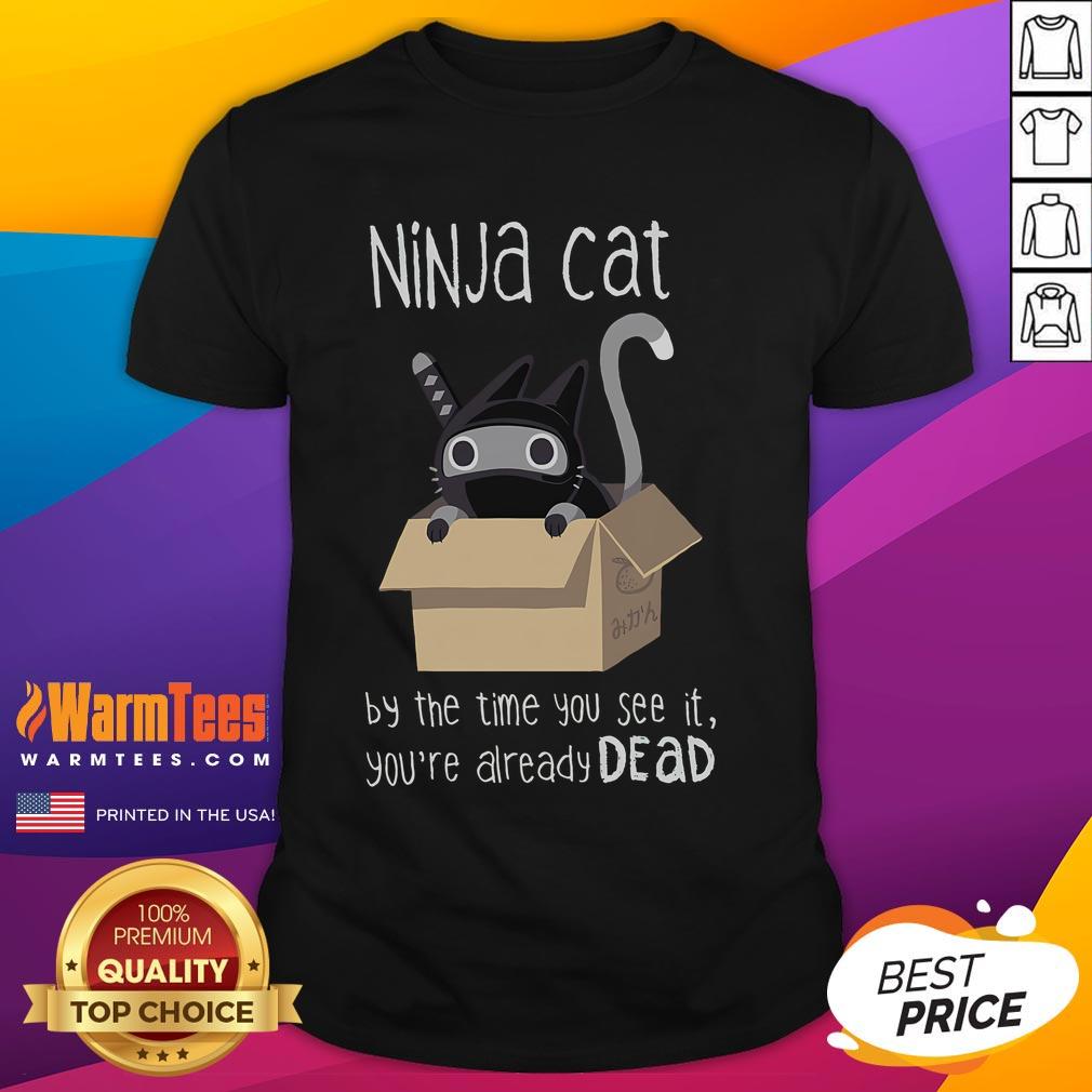 Cute Ninja Cat By The Time You See It You're Already Dead T-Shirt