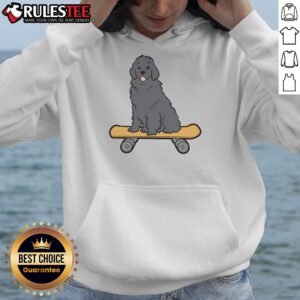 Alternative view of Cute Skateboarding Newfoundland Skater Newfoundland Dog T-Shirt