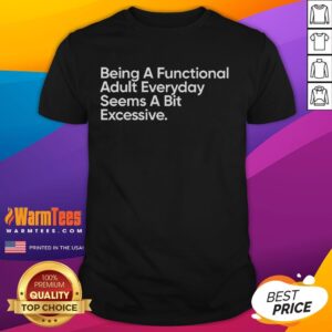 Funny Being A Functional Adult Everyday Seems A Bit Excessive T-Shirt
