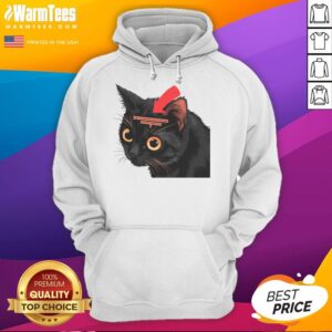 Alternative view of Funny Cat Full Of Paranoid Delusions And Violent Tendencies T-Shirt