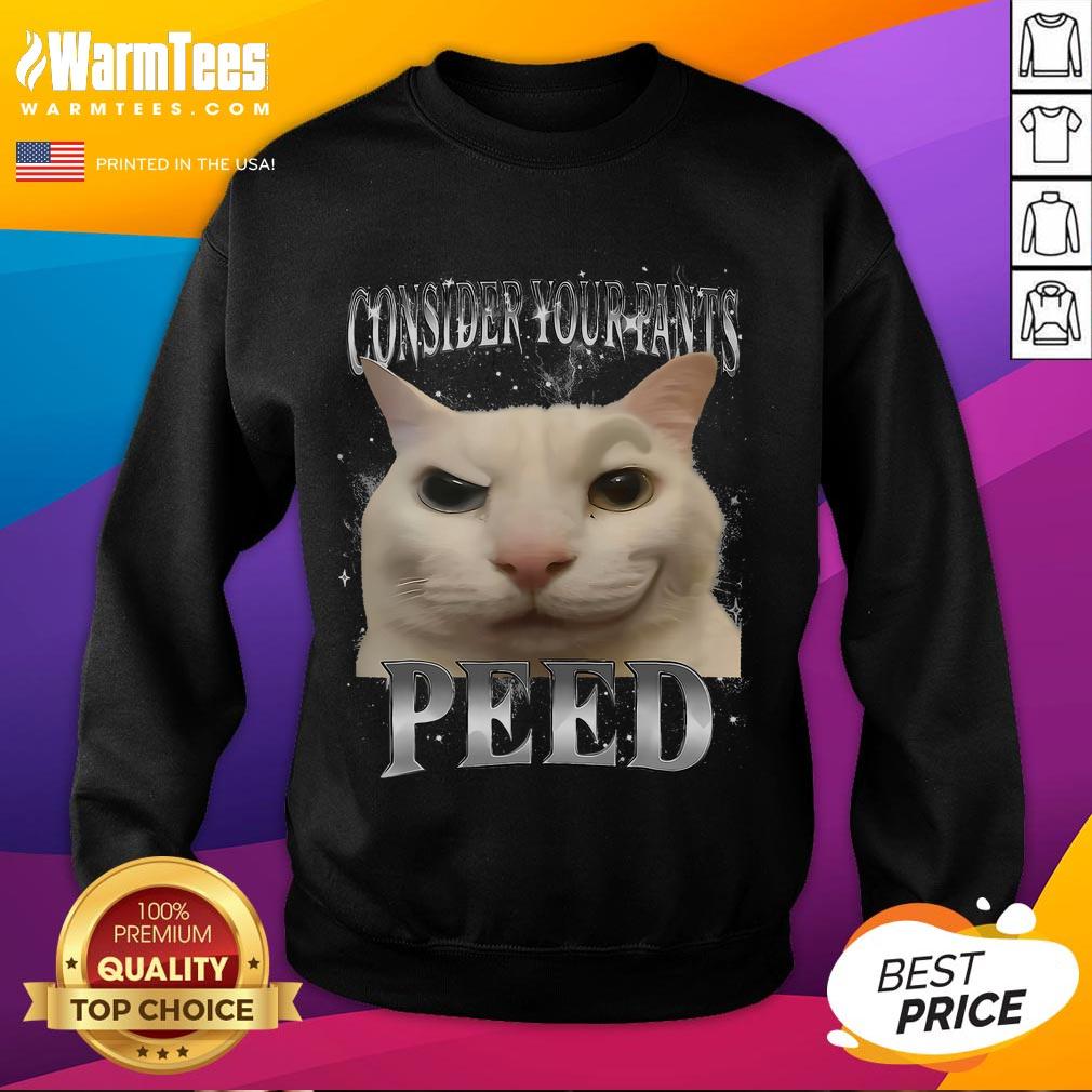 Funny Consider Your Pants Peed Silly Cat Meme T-Shirt - Image 5