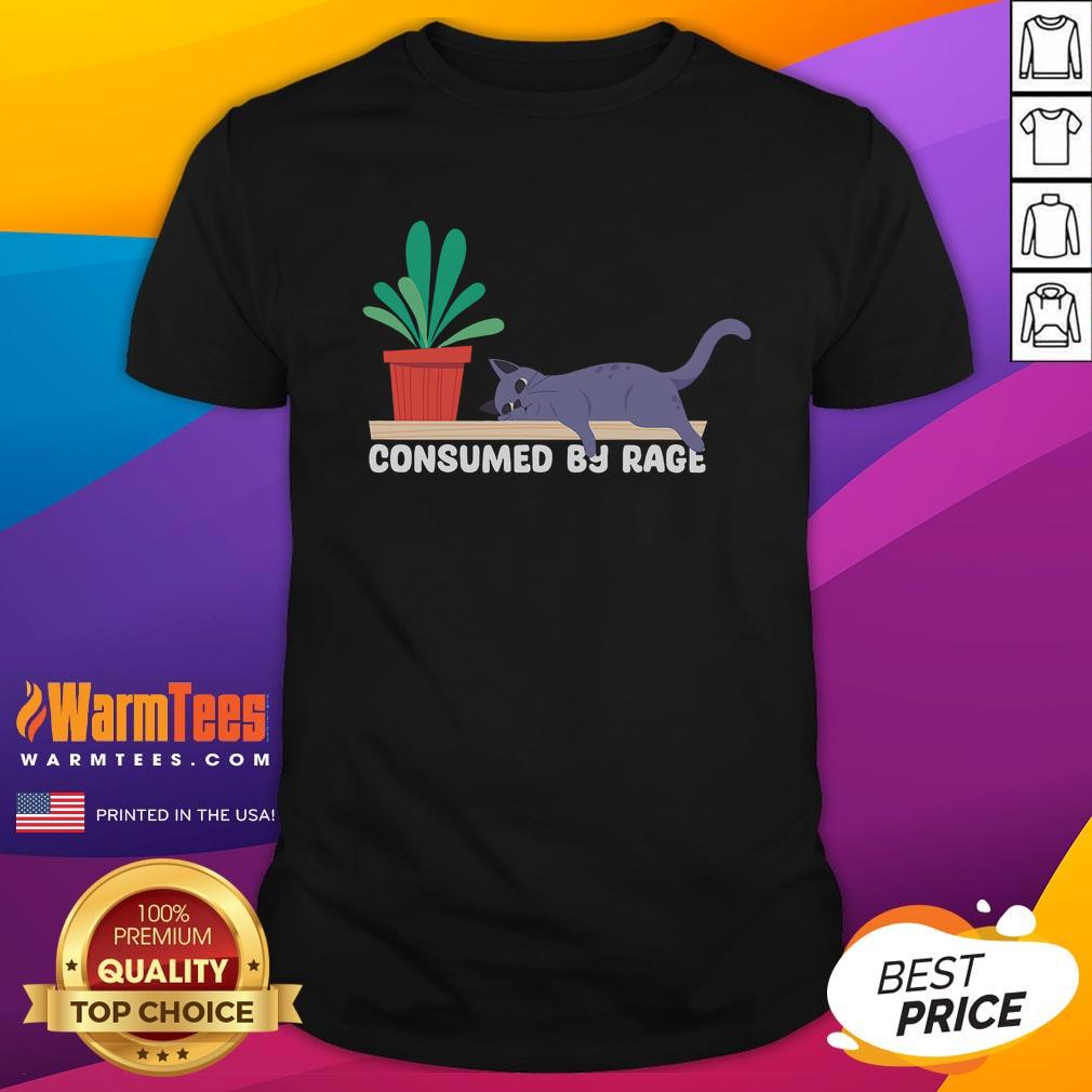 Funny Consumes By Rage Meme Tired Cat T-Shirt
