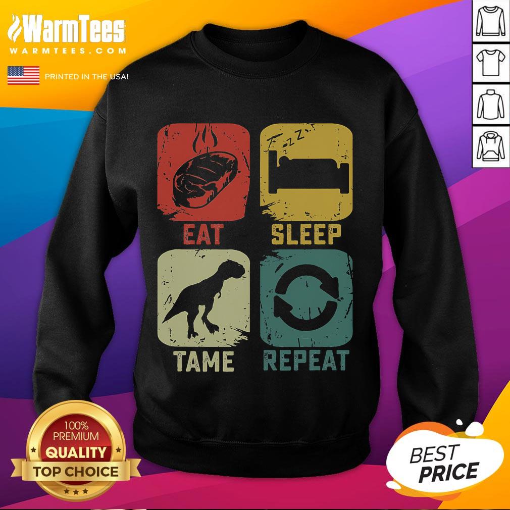 Funny Eat Sleep Tame Repeat Dinosaur Gaming Gamer T-Shirt - Image 5