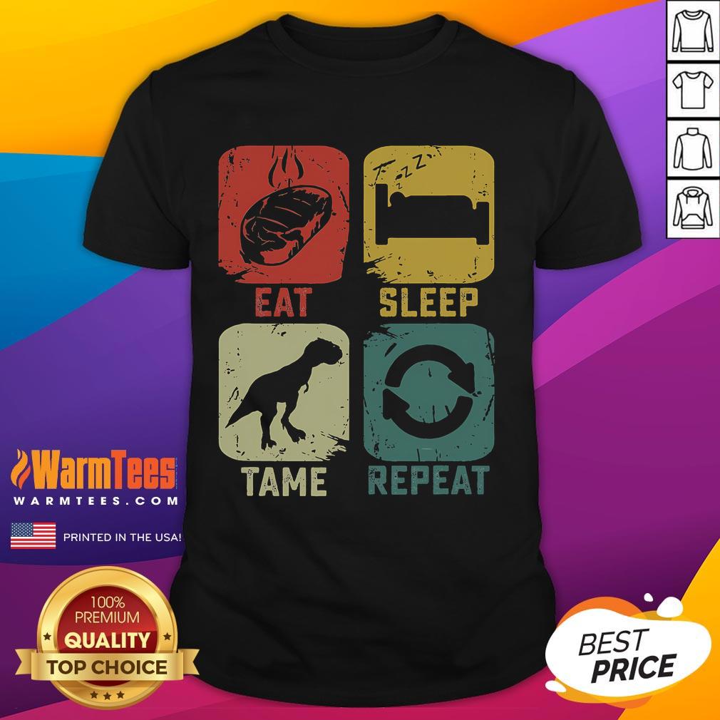 Funny Eat Sleep Tame Repeat Dinosaur Gaming Gamer T-Shirt