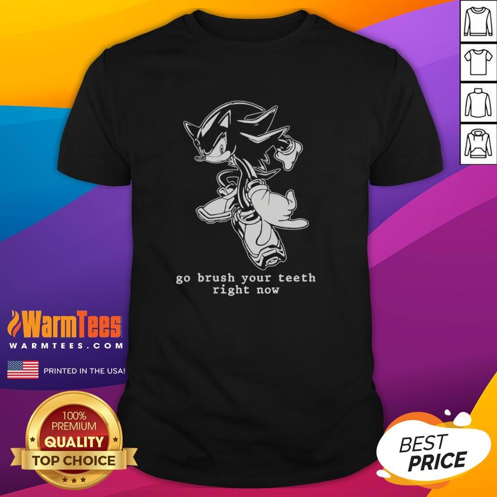 Funny Hedgehog Go Brush Your Teeth Right Now T-Shirt