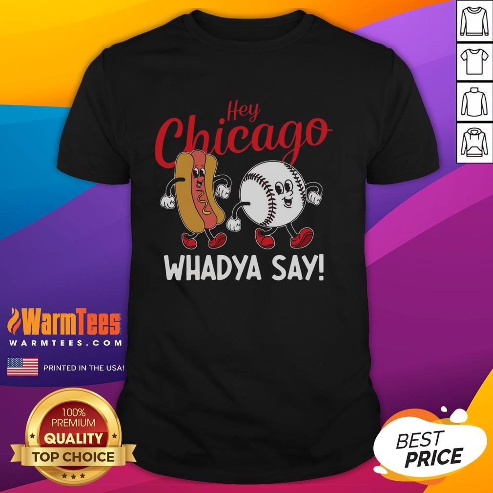 Funny Hey Chicago Whadya Say Baseball And Hot Dog Retro T-Shirt