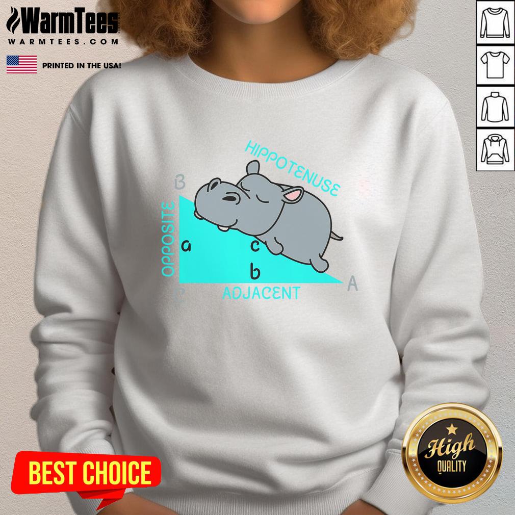 Funny Hippotenuse Math Mathematics Teacher Joke T-Shirt - Image 5