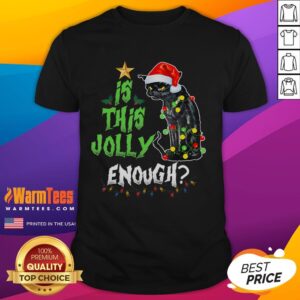Funny Jolly Grumpy Santa Cat Funny Christmas Cat Lover T-Shirt