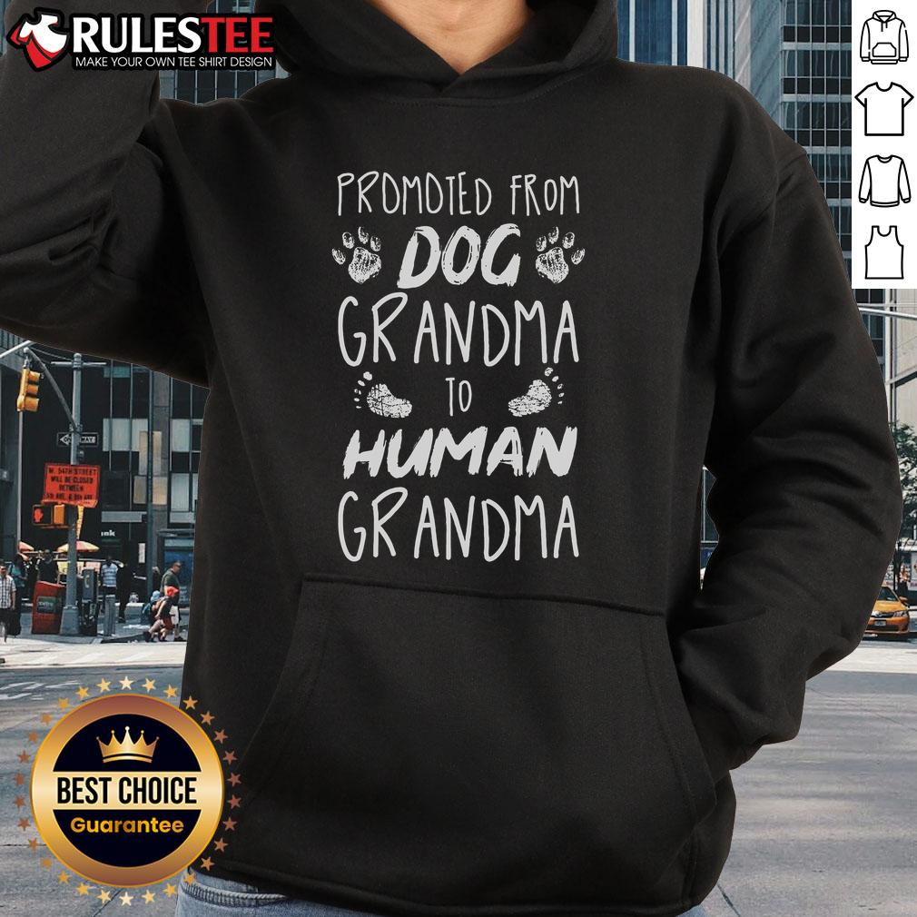 Funny Promoted From Dog Grandma To Human Grandma T-Shirt - Image 2