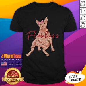 Funny Sphynx Cat Flawless T-Shirt