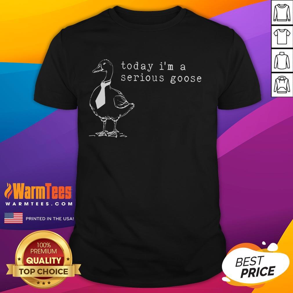 Funny Today I'm A Serious Goose T-Shirt
