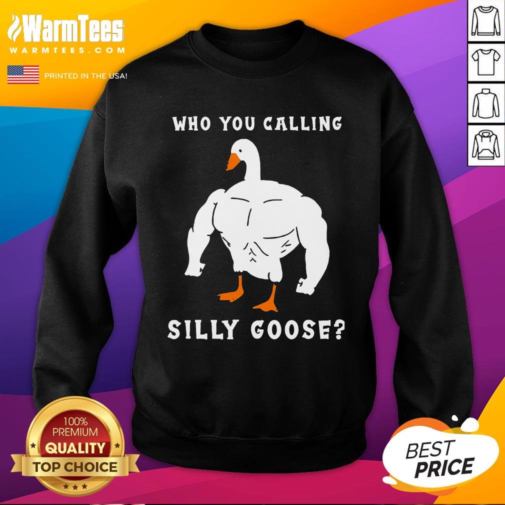 Funny Who You Calling Silly Goose T-Shirt - Image 3