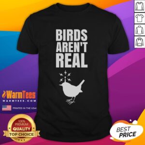 Good Birds Aren't Real Meme Conspiration T-Shirt