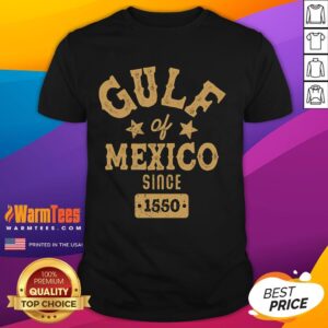 Good Vintage Gulf Of Mexico Since 1550 T-Shirt