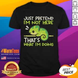Nice Chameleon Not Here T-Shirt
