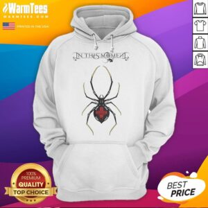 Alternative view of Official In This Momeli Widow Raglan T-Shirt