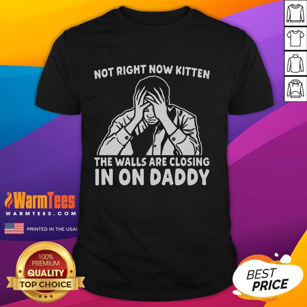 Premium Not Right Now Kitten The Walls Are Closing In On Daddy T-Shirt