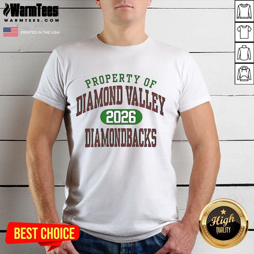 Premium Property Of Diamond Valley Diamondbacks 2026 T-Shirt