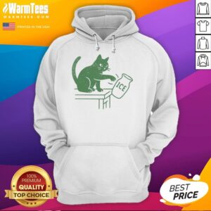 Alternative view of Pretty Abolish ICE Funny Cat Political T-Shirt