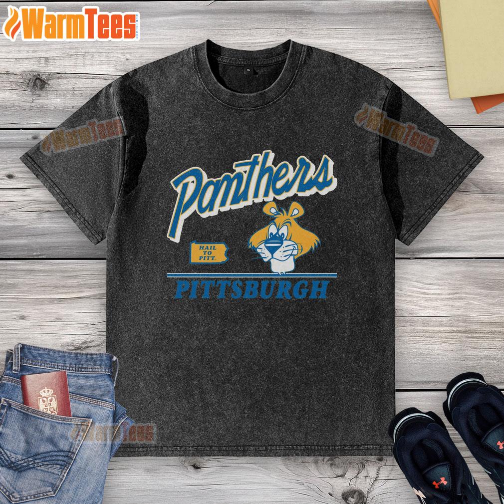 Pretty Pittsburgh Panthers Vintage Fly By T-Shirt - Image 6