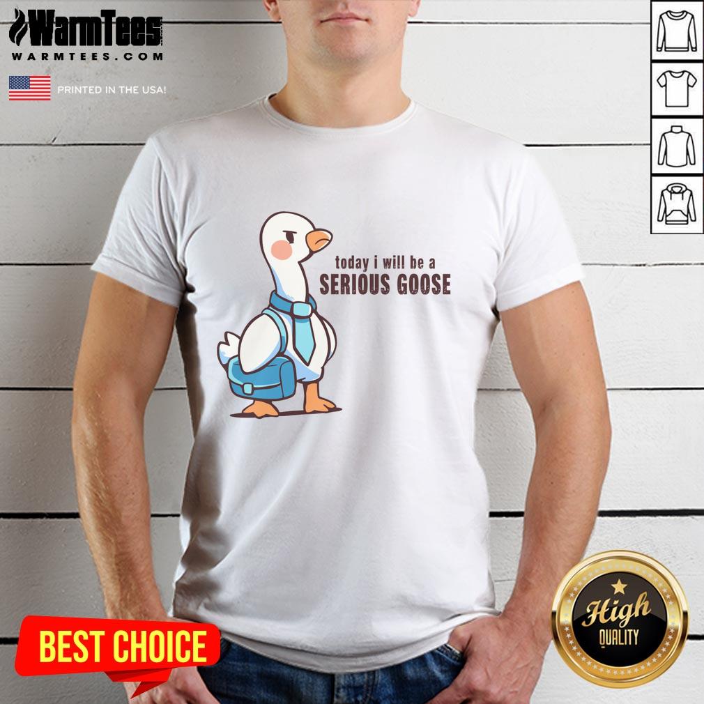 Pretty Today I Will Be A Serious Goose T-Shirt