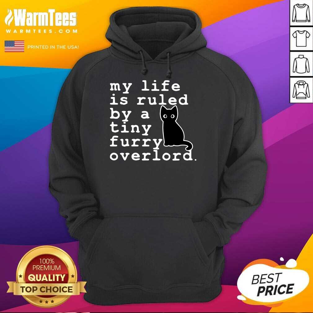 Awesome Black Cat Life Furry Overlord Shirt - Image 4