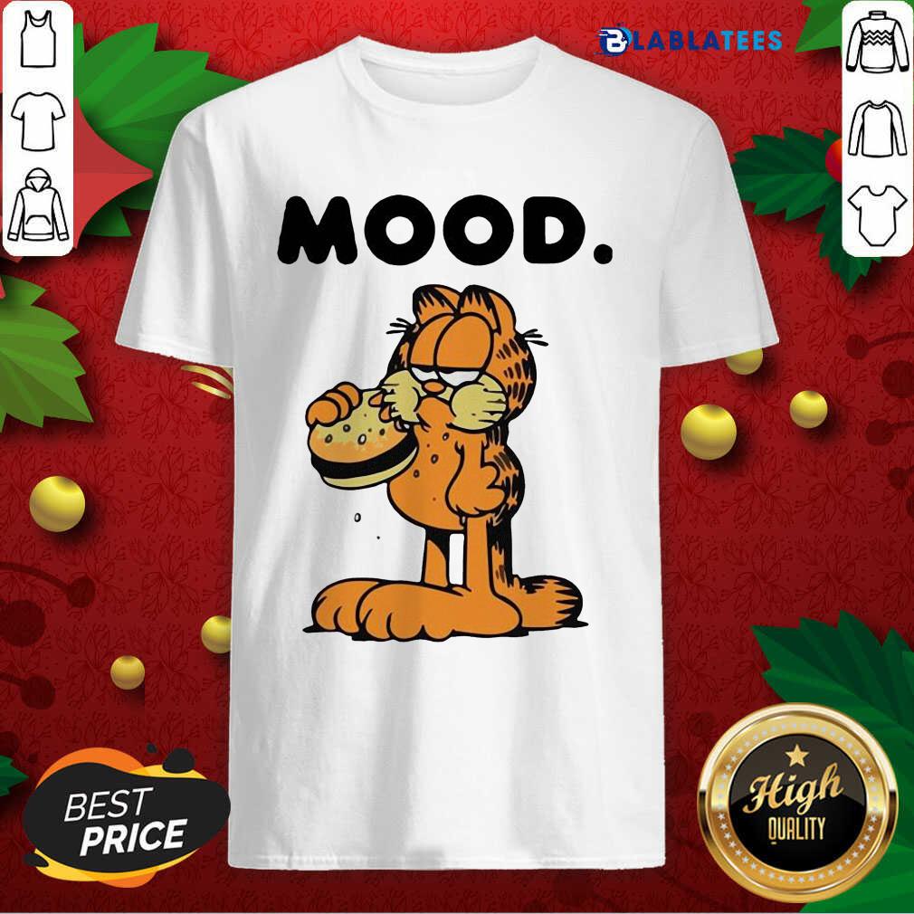 Awesome Garfield Mood Shirt