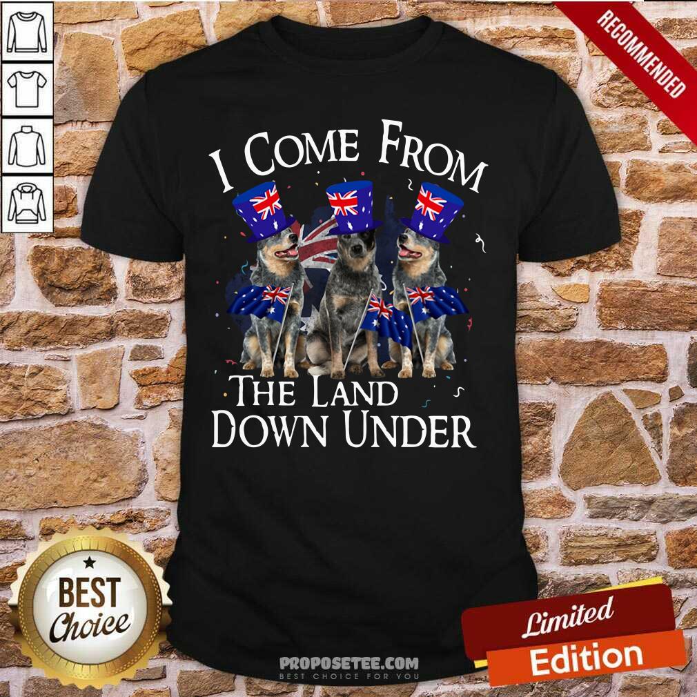 Awesome Heeler I Come From The Land Down Under Shirt