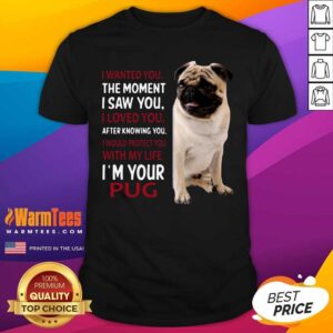 Awesome I Wanted You The Moment I Saw You I Loved You After Knowing You I’m Your Pug Shirt