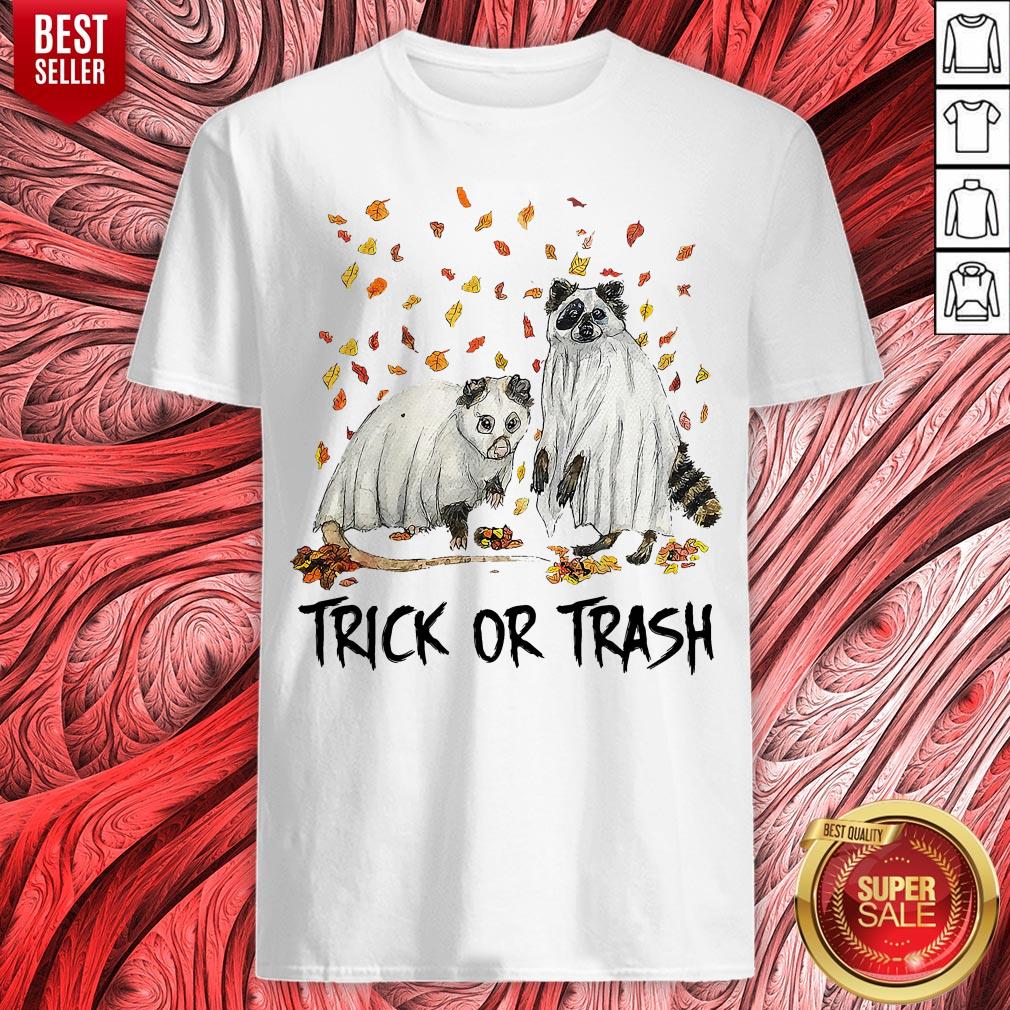 Awesome Opossum And Raccoon Ghost Trick Or Trash Shirt