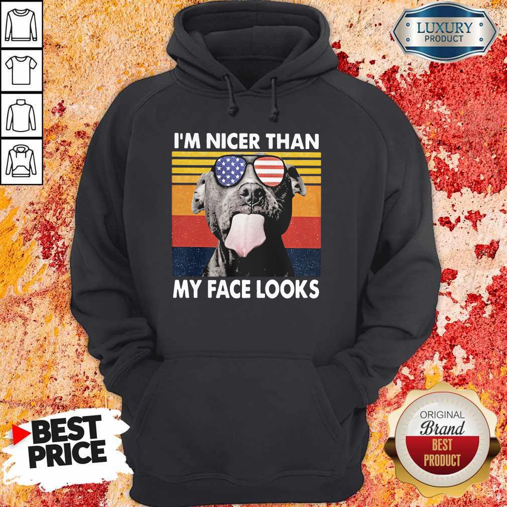 Awesome Pitbull I'm Nicer Than My Face Looks Glass America Vintage Retro Shirt - Image 2