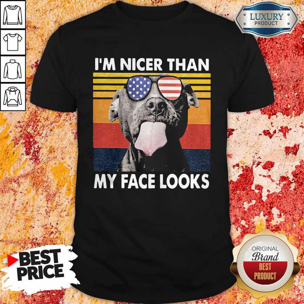 Awesome Pitbull I'm Nicer Than My Face Looks Glass America Vintage Retro Shirt