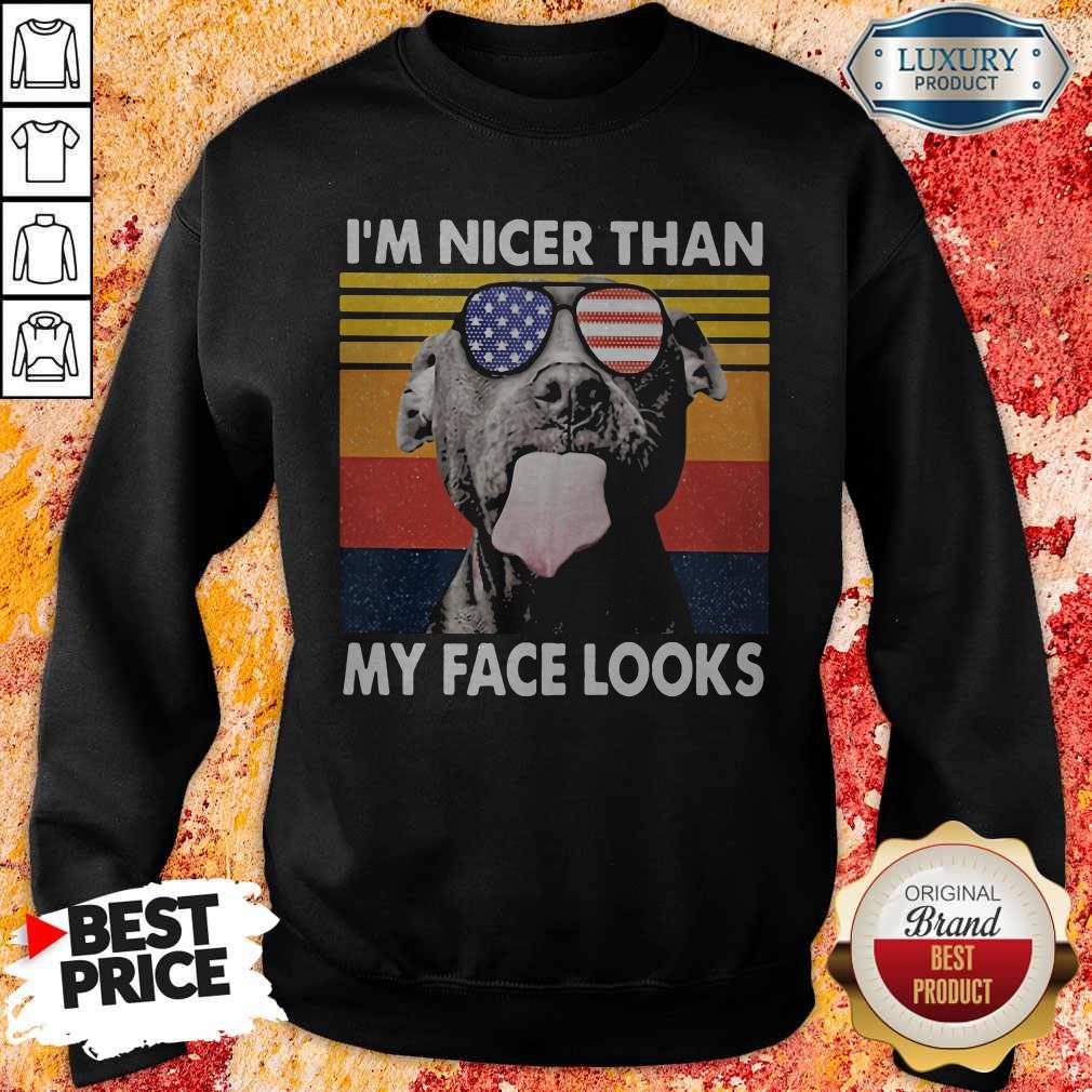 Awesome Pitbull I'm Nicer Than My Face Looks Glass America Vintage Retro Shirt - Image 3