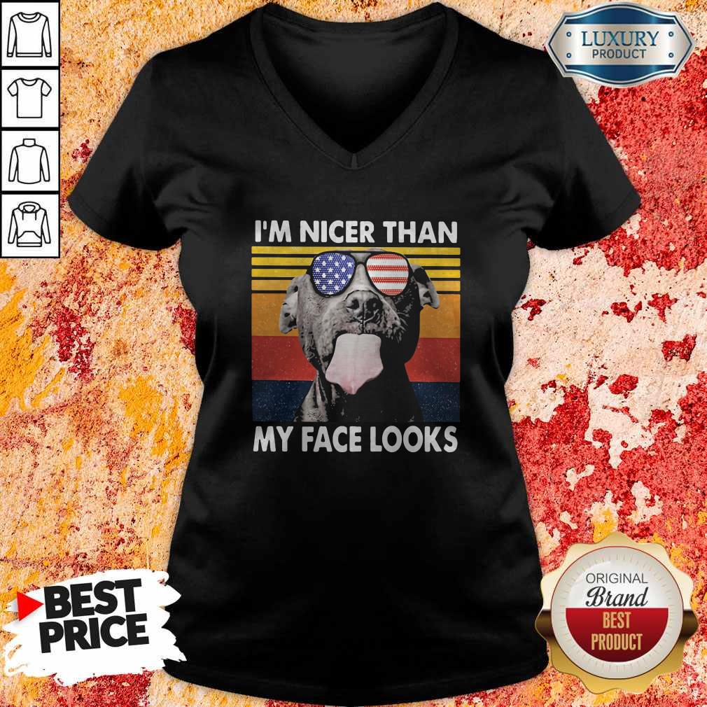 Awesome Pitbull I'm Nicer Than My Face Looks Glass America Vintage Retro Shirt - Image 5