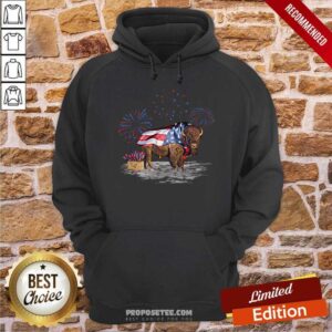 Alternative view of Bison Happy 4th Of July Shirt