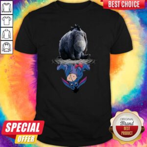 Cute Disney Eeyore Reflection Water Mirror Shirt