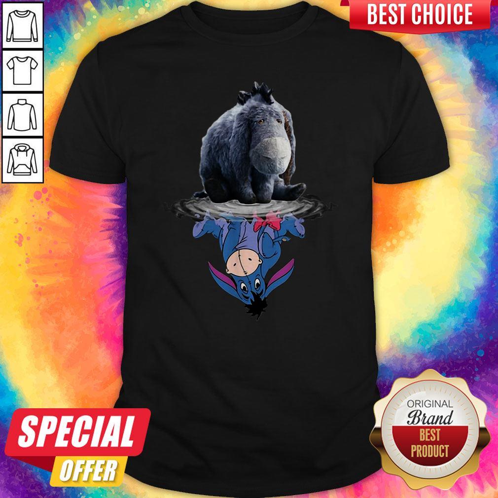 Cute Disney Eeyore Reflection Water Mirror Shirt