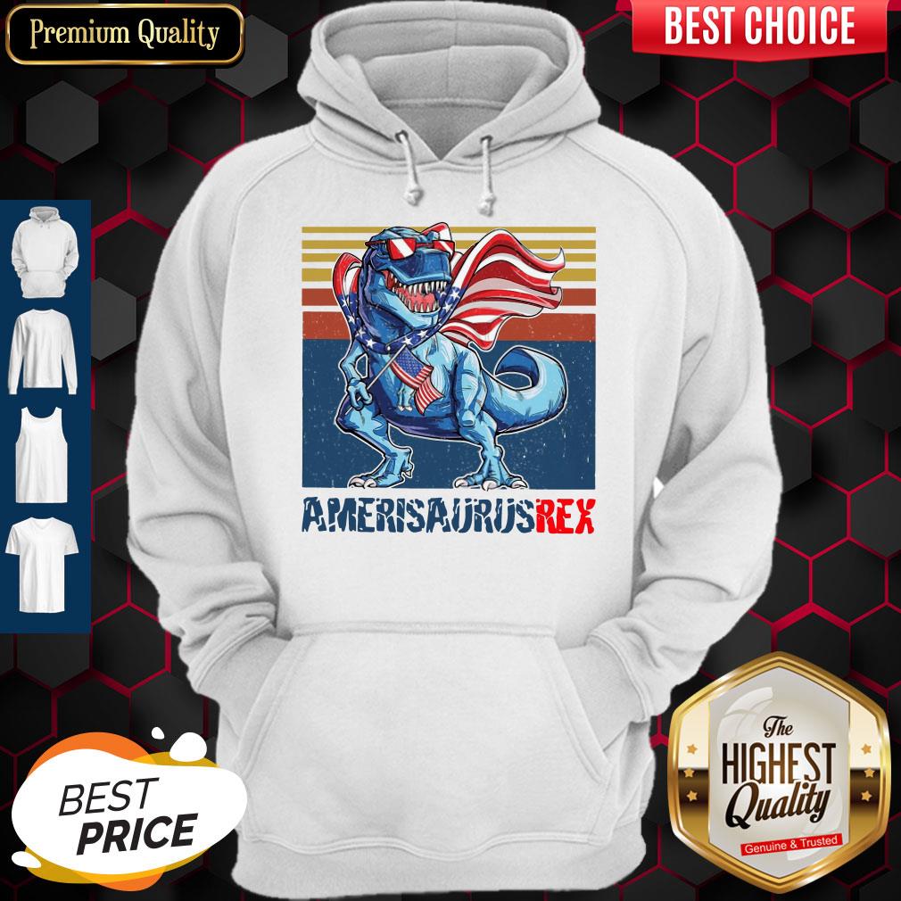 Dinosaur American Flag 4th Of July Ameri Saurus Rex Retro Shirt - Image 2