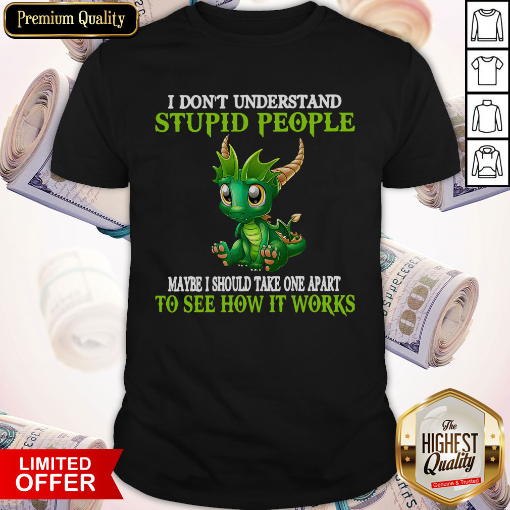 Dragon I Don’t Understand Stupid People Maybe I Should Take One Apart To See How It Works Shirt