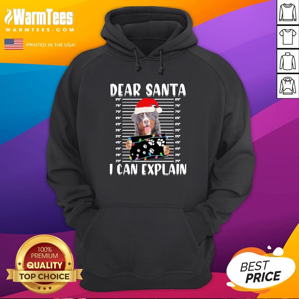 Excellent Bernese Mountain Dear Santa I Can Explain Christmas Sweater Shirt - Image 5