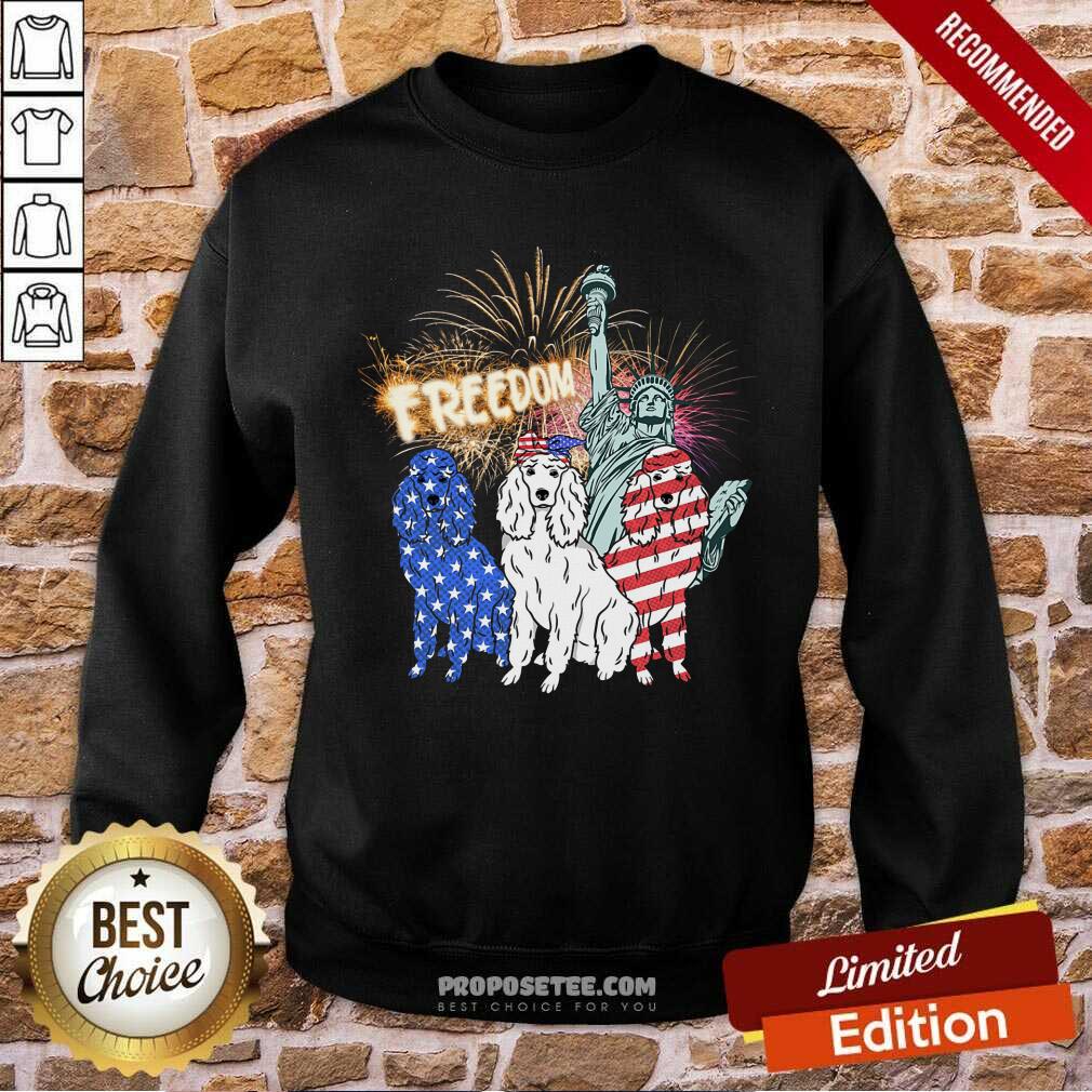 Freedom Dog Statue Of Liberty Usa Flag Shirt - Image 5