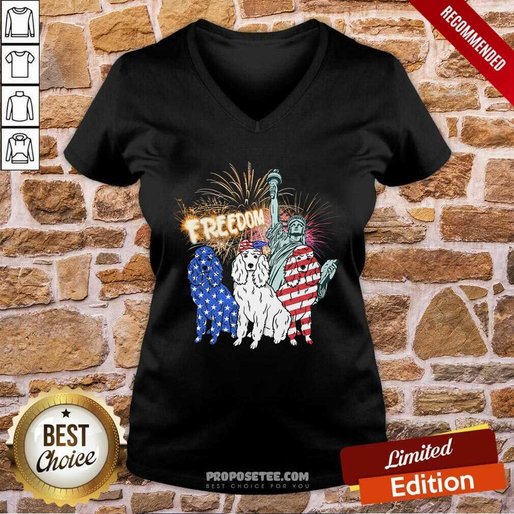 Freedom Dog Statue Of Liberty Usa Flag Shirt - Image 3
