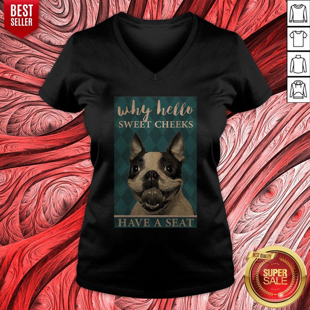 French Bulldog Why Hello Sweet Cheeks Have A Seat Shirt - Image 4
