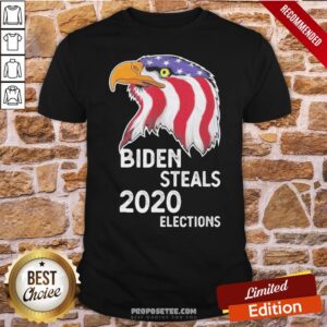 Funny Biden Steals 2020 Elections Vote Republican Political American Flag Shirt