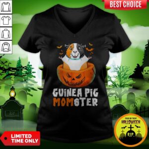 Alternative view of Funny Guinea Pig Monster Shirt