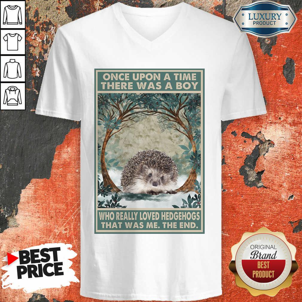 Funny Hedgehog Once Upon A Time Boy Vertical Poster Shirt - Image 3