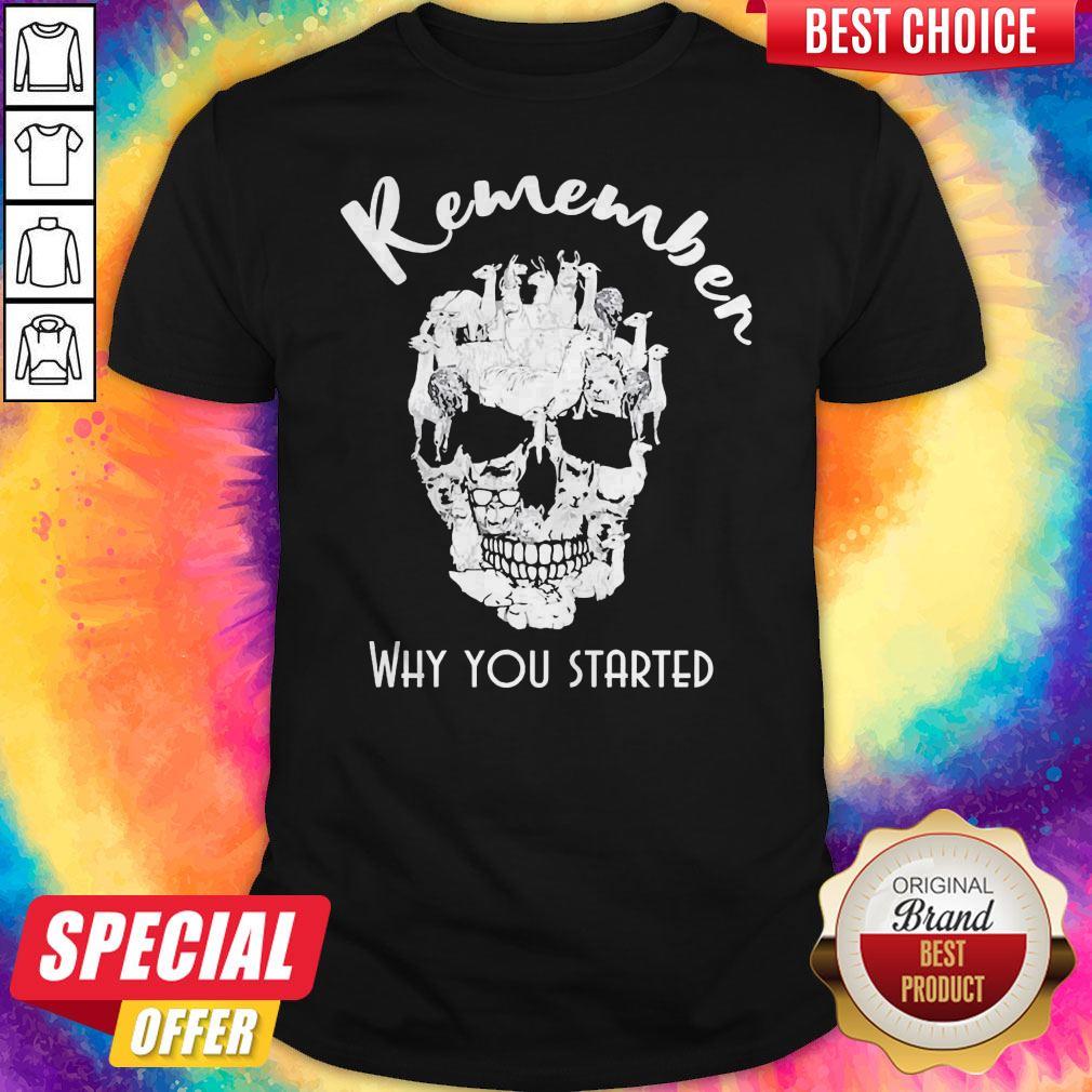 Funny Llama Skull Remember Why You Started Halloween Shirt